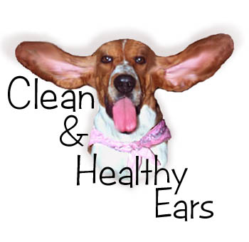 Clean & Healthy Dog Ears