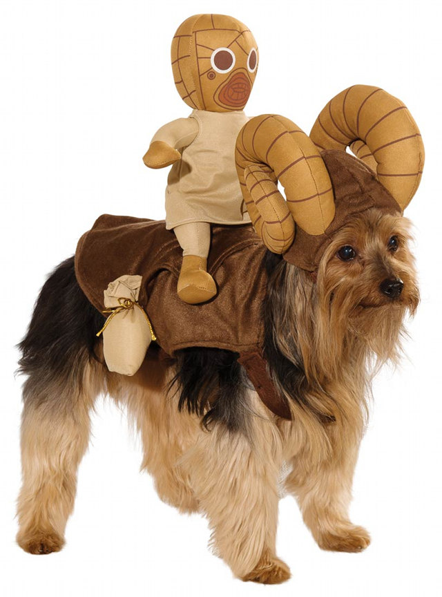 Костюм собаки. Необычные костюмы для собак. Человек в костюме собаки. Новогодний костюм для собаки.